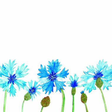 Suluboya el boyama doğa mavi çiçek çiçekleri ve yeşil gövde kompozisyonu ile yabani çiçek afiş çerçeve davet için beyaz arkaplan ve metin için boşluk ile tebrik kartı