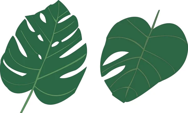Vector Handbemalte Grafik Natur Tropische Pflanzen Illustration Mit Grünen Palmblättern — Stockfoto