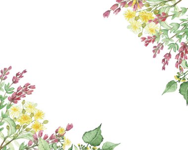 Suluboya el boyama doğa çiçekli çerçeve pembe funda ve sarı ıhlamur çiçekleri yeşil dallar üzerinde çiçek davet ve tebrik kartı tasarımı için beyaz arka planda