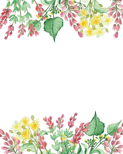 Watercolor Hand Painted Nature Wild Floral Banner Pink Heather Yellow — Stock Photo, Image