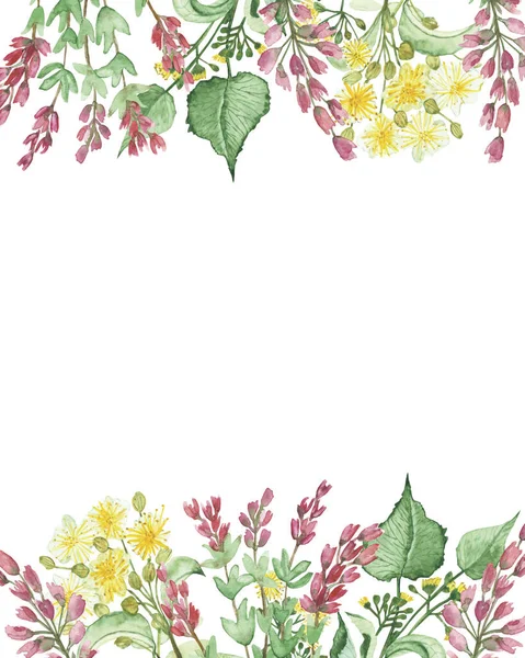 Watercolor hand painted nature wild floral banner with pink heather and yellow lime linden blossom flowers bouquet on the white background for invite and greeting card with space for text