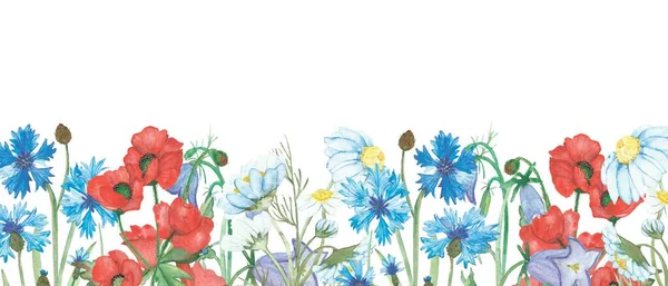 양귀비 옥수수 라일락 꽃들이 그려진 자연의 깃발을 디자인을 그렸다 — 스톡 사진