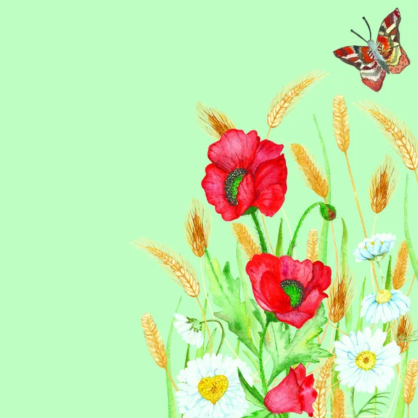 赤いケシ 白いカモミールの花 黄色のライヤーとカードデザインのための緑の背景に茶色の装飾蝶と水彩手描きの花のフィールド組成物 — ストック写真