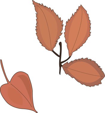 Tasarım elementleri için şeffaf arkaplan üzerinde izole edilmiş, turuncu kırmızı yapraklı vektör elle boyanmış doğa grafik sonbahar bitkileri.