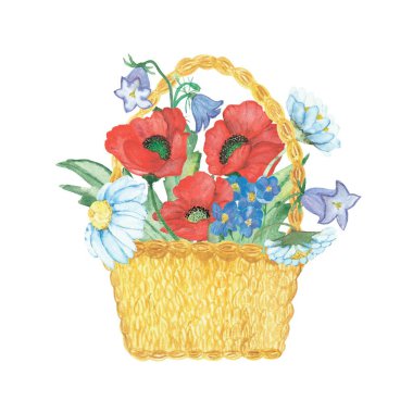 Kırmızı haşhaş, beyaz papatya, mavi mısır çiçeği, yaban çiçeği ve yeşil yapraklı suluboya el resmi sepetinde tasarım elemanları ve kartlar için.