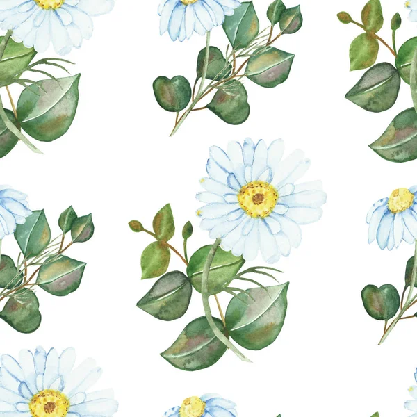 白い花のカモミールの花とプリントデザインのための白い背景に隔離された緑のユーカリの枝と水彩手描きの自然花シームレスパターン — ストック写真