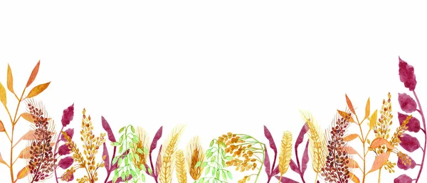 Watercolor Hand Painted Nature Autumn Plants Banner Line Yellow Rye — Foto de Stock