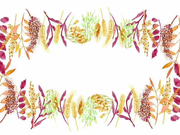 Aquarela Pintado Mão Natureza Outono Plantas Banner Quadro Com Cereais — Fotografia de Stock