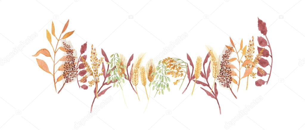 Watercolor hand painted nature autumn plants composition with yellow rye ear, brown cereals, green sprouts and orange leaves on branch bouquet on the white background for card design