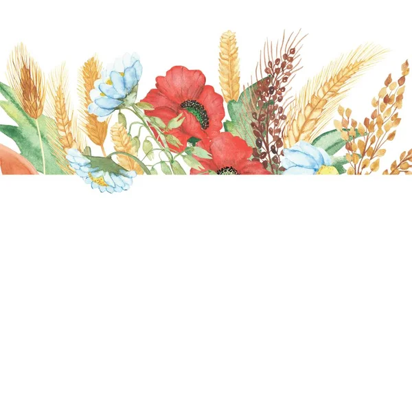 Υδατογραφία Ζωγραφισμένα Στο Χέρι Φύση Floral Banner Γραμμή Κόκκινο Παπαρούνα — Φωτογραφία Αρχείου