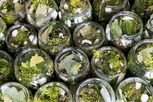 Cucumbers in jars — Stock Photo, Image