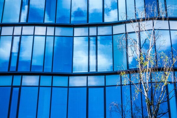 Business and environment