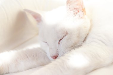 Güneşli bir günde sakin ol