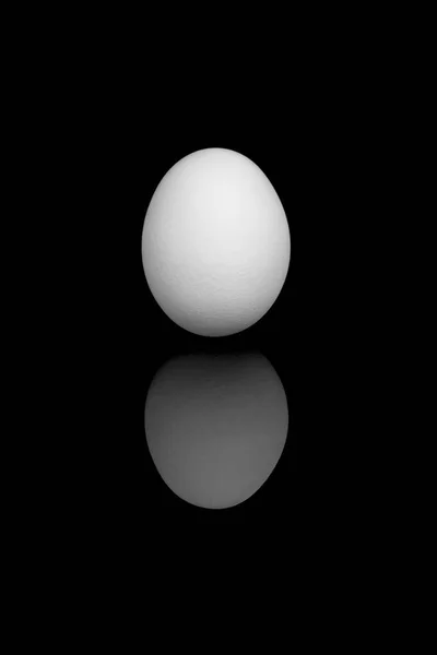 Organic Simple Egg Black White Reflection — Stock Photo, Image