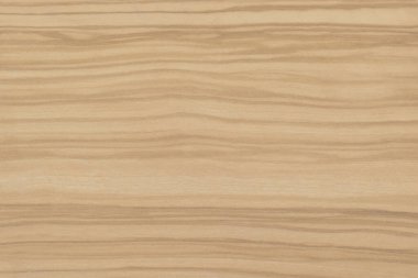 Egzotik zeytin ağacı kaplamasının dokusu