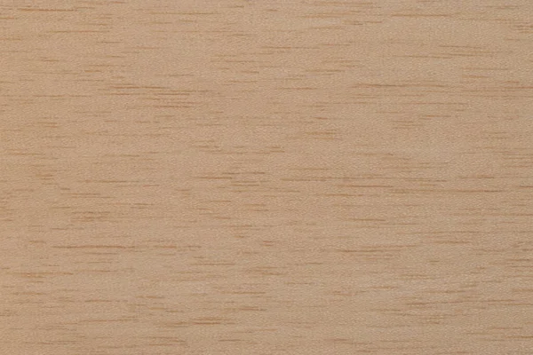 Textura Folheado Madeira Cedro Exótico — Fotografia de Stock