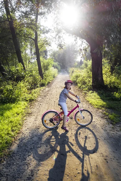 I skogen — Stockfoto