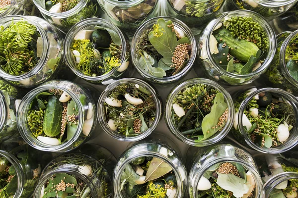 Cucumbers ready to be pickled — Stock Image Cucumbers ready to be pickled Royalty Free Stock Photos