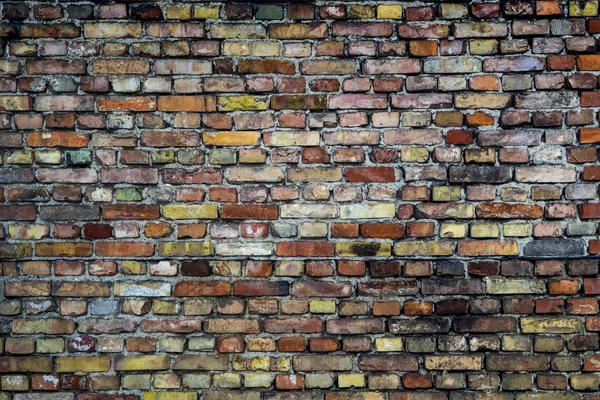 Pared de ladrillo colorido — Foto de Stock