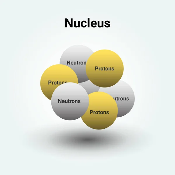 Kärnan Atom Som Visar Protoner Och Neutroner Vektor Illustration Vetenskap — Stock vektor