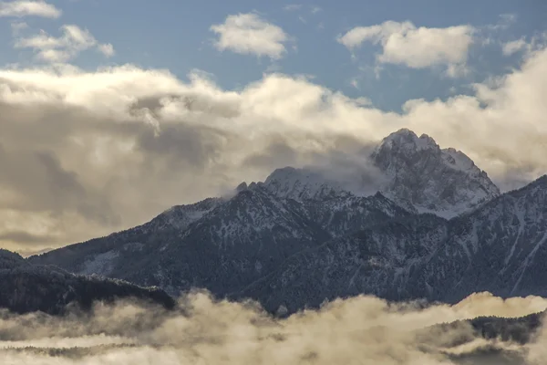 alps, mountains, trees