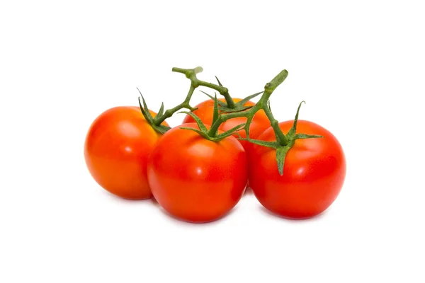 Beyaz renkte taze domatesler.