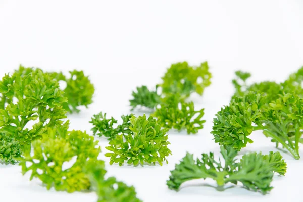 Frische Petersilie isoliert auf weißem Hintergrund — Stockfoto