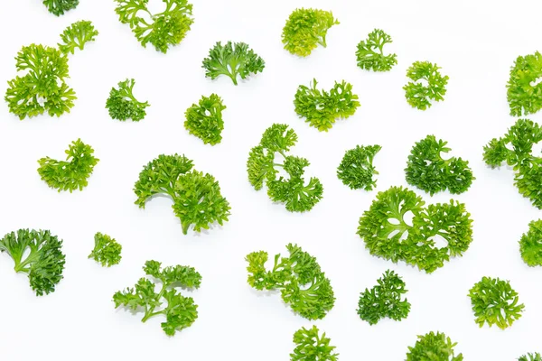 Beyaz arka plan üzerinde izole bir desen düzenlenmiş taze maydanoz
