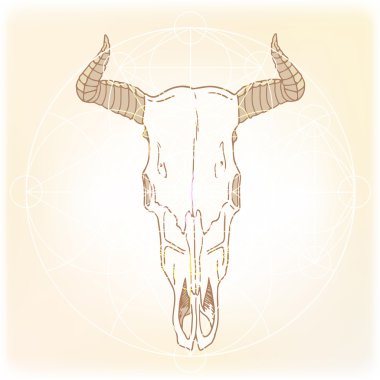 Hayvan kafatası kutsal geometri