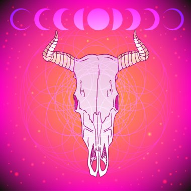 Hayvan kafatası kutsal geometri