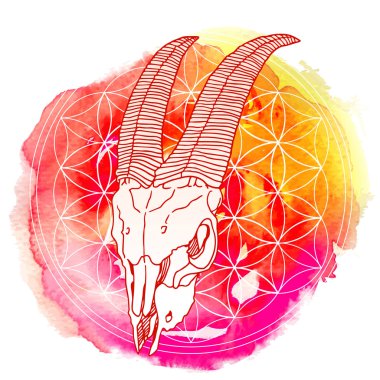 Hayvan kafatası kutsal geometri