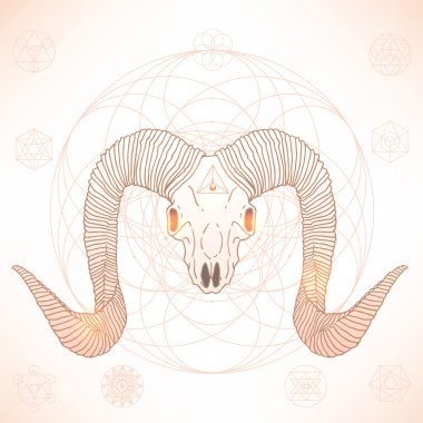 Hayvan kafatası kutsal geometri