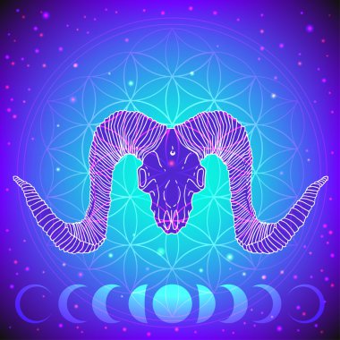 Hayvan kafatası kutsal geometri