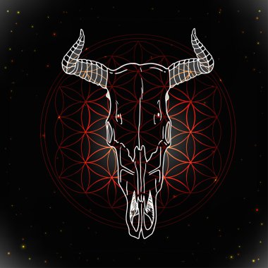 Hayvan kafatası kutsal geometri