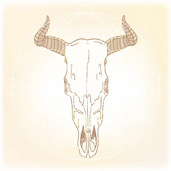 Ιερή γεωμετρία του κρανίου των ζώων — Διανυσματικό Αρχείο
