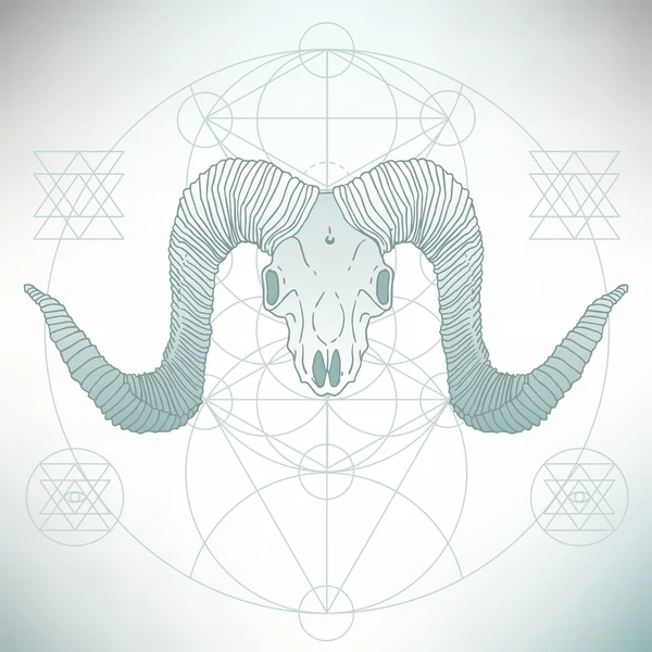 Cráneo animal geometría sagrada — Vector de stock