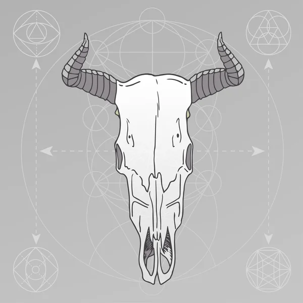 Geometria sacra del cranio animale — Vettoriale Stock