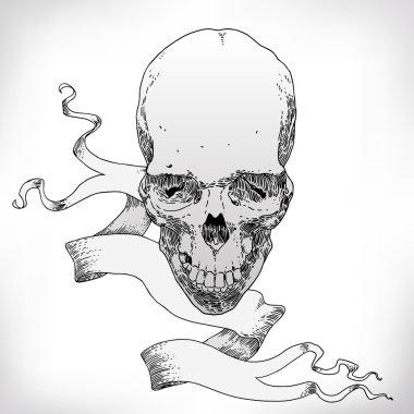 Pirate Skull Jolly Roger.