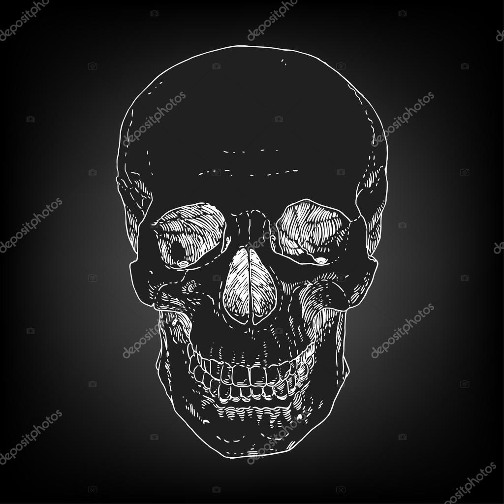 Pirate Skull Jolly Roger. The vector image of piracy skull. Vector illustration.