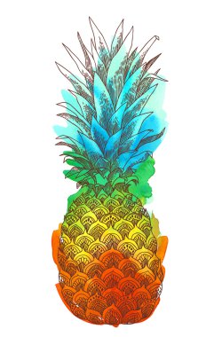 Ananas meyve el çizilmiş illüstrasyon