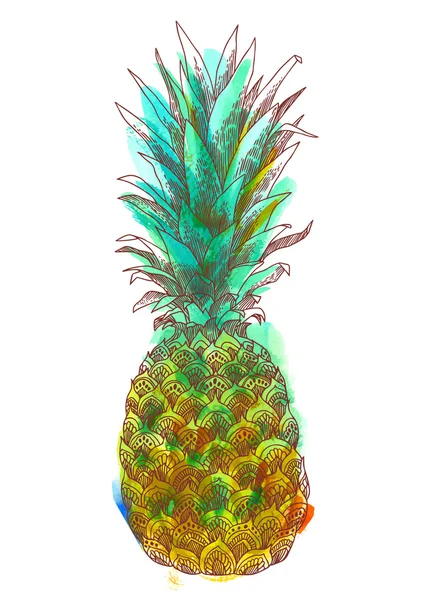 Illustration dessinée à la main de l'ananas — Image vectorielle