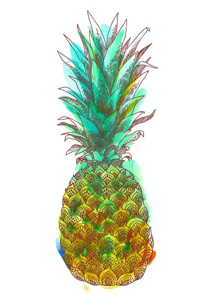 Ananas meyve el çizilmiş illüstrasyon