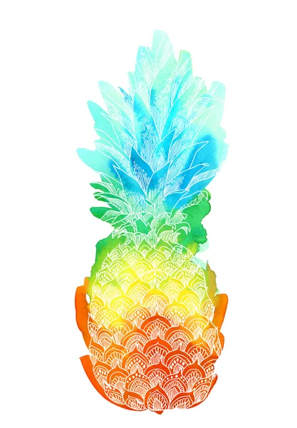 Hand drawn illustration of pineapple fruit — Stock Vector