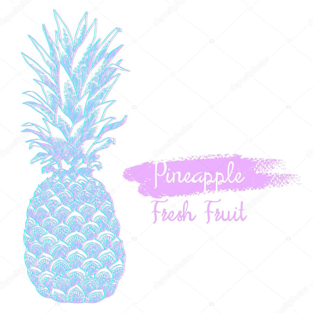 Hand drawn illustration of isolated pineapple fruit silhouette on a white background. This illustration can be used for coloring book for adult, logo, t shirt design, flyer, tattoo and more.