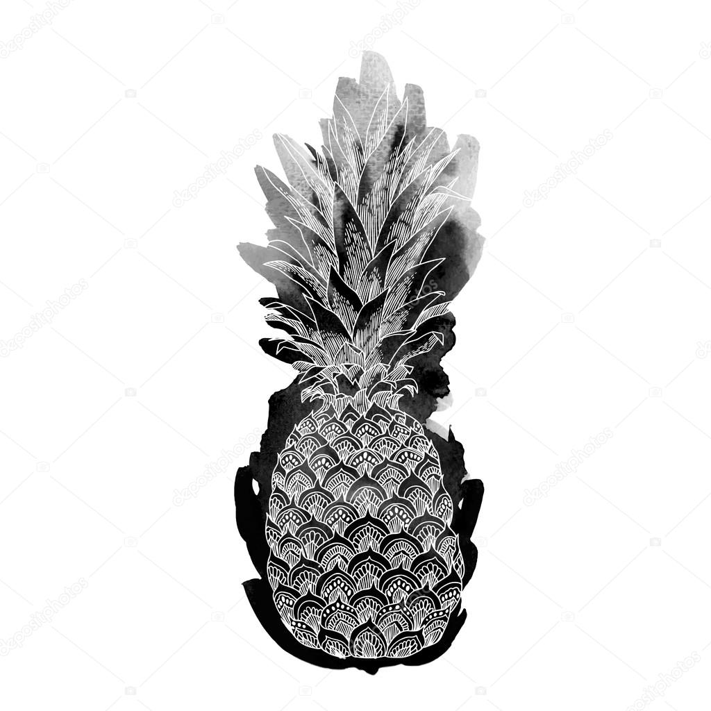Hand drawn illustration of isolated pineapple fruit silhouette on a white background. This illustration can be used for coloring book for adult, logo, t shirt design, flyer, tattoo and more.