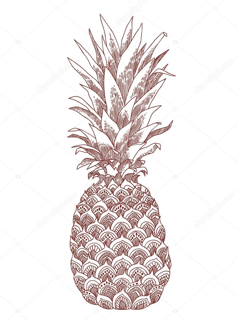 Hand drawn illustration of isolated pineapple fruit silhouette on a white background. This illustration can be used for coloring book for adult, logo, t shirt design, flyer, tattoo and more.