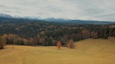 Hava dağları manzarası. High Tatras dağlarının manzarası. Sonbahar ağaçları ve karla kaplı arka planda sonsuza dek yeşil çamlar.