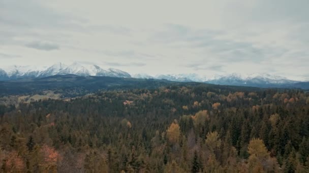 Luftgebirgslandschaft Blick Auf Die Hohe Tatra Herbstbäume Und Immergrüne Kiefern — Stockvideo