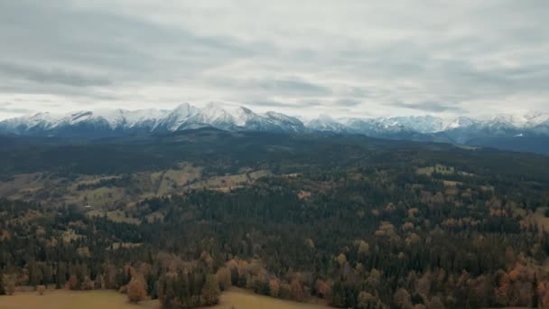 Letecká horská krajina. Pohled na Vysoké Tatry. Podzimní stromy a věčně zelené borovice na zasněžených horách pozadí