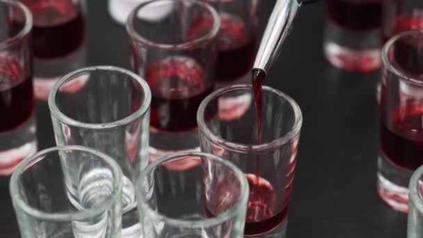 Alkohol Cocktail Dengan Vodka Dan Sirup Granat — Stok Video